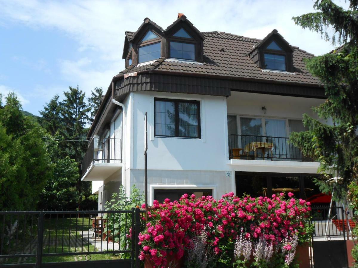 Nagy Vendeghaz Hotel Бадачонтомай Екстериор снимка